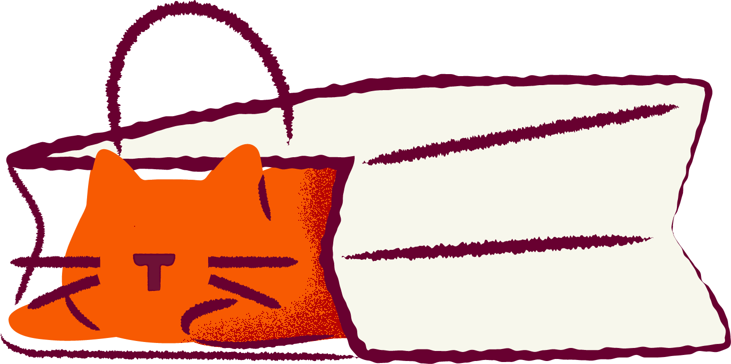 Orders, plan and account